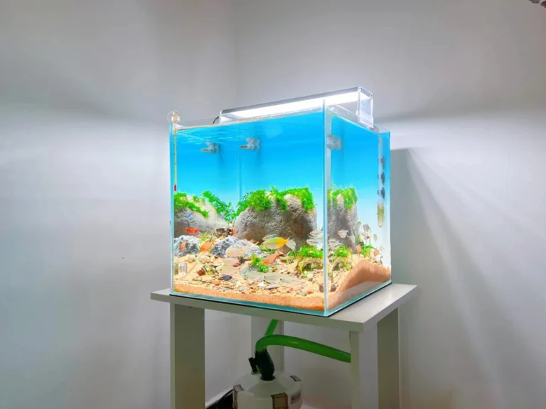 家用水族箱背光应用案例
